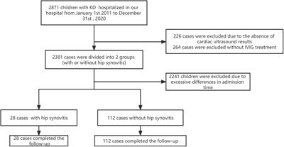 Clinical characteristics and correlation analysis of IVIG resistance in children with kawasaki disease complicated with hip synovitis: case-control study